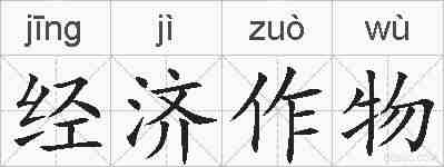 经济作物的拼音