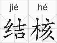 结核的拼音