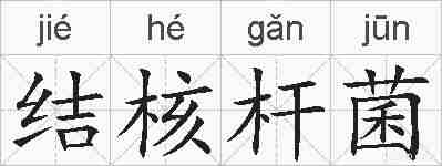 结核杆菌的拼音