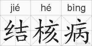 结核病的拼音