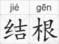 结根的拼音