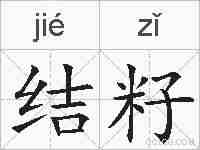 结籽的拼音