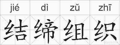 结缔组织的拼音
