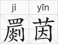 罽茵的拼音
