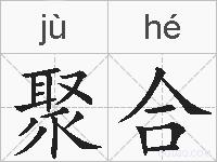 聚合的拼音