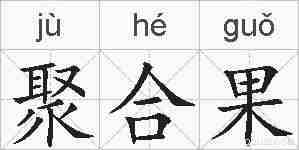 聚合果的拼音