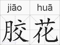 胶花的拼音