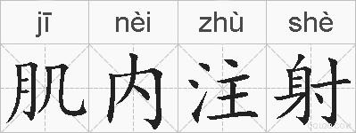 肌内注射的拼音