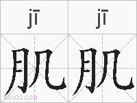 肌肌的拼音