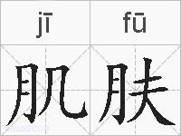 肌肤的拼音
