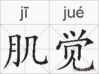 肌觉的拼音