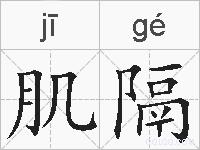 肌隔的拼音