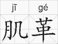 肌革的拼音