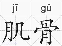 肌骨的拼音
