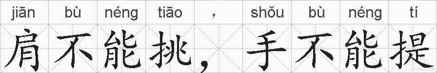 肩不能挑，手不能提的拼音