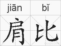 肩比的拼音