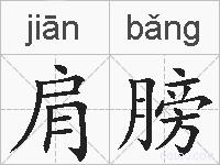 肩膀的拼音