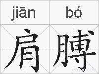 肩膊的拼音