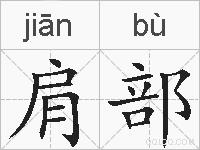 肩部的拼音