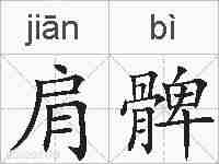 肩髀的拼音