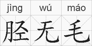 胫无毛的拼音