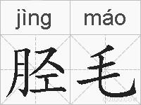 胫毛的拼音