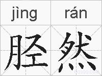 胫然的拼音