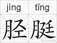 胫脡的拼音