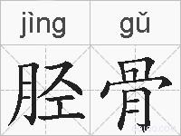 胫骨的拼音