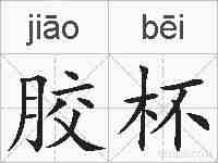 胶杯的拼音