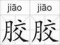 胶胶的拼音