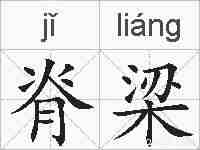 脊梁的拼音