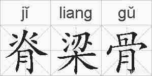 脊梁骨的拼音