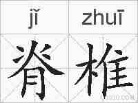 脊椎的拼音