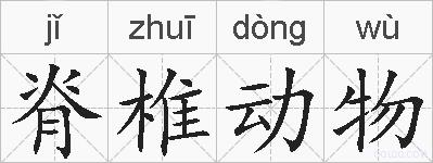 脊椎动物的拼音