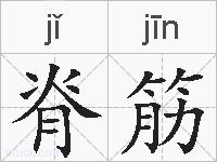 脊筋的拼音