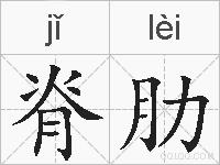 脊肋的拼音