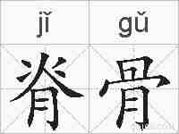 脊骨的拼音