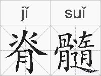脊髓的拼音
