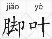 脚叶的拼音