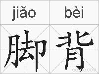 脚背的拼音