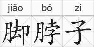 脚脖子的拼音