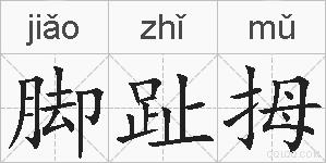 脚趾拇的拼音