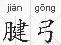腱弓的拼音
