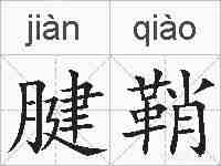 腱鞘的拼音
