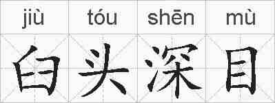 臼头深目的拼音