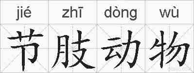 节肢动物的拼音