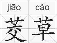 茭草的拼音