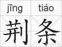 荆条的拼音