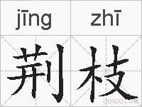 荆枝的拼音